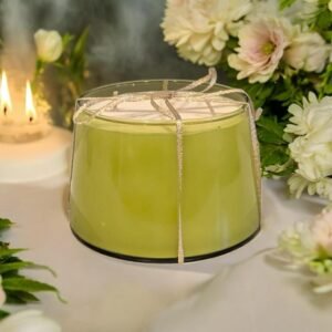 Coastal Grove Green Collection