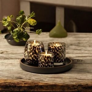 The Cheetah Collection