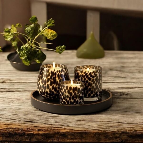 The Cheetah Collection