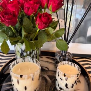 Dalmatian Glass Collection